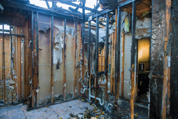 Professional Fire Damage Repair technician working in Spring Valley, MN